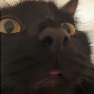 Meet your Posher, Marylou